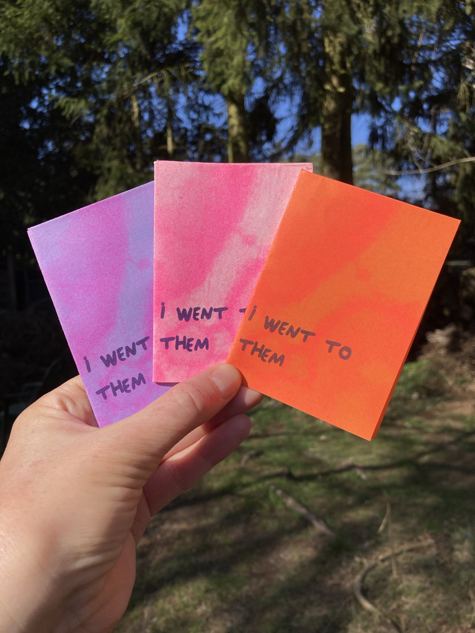A mini zine of the text from my film Flare
